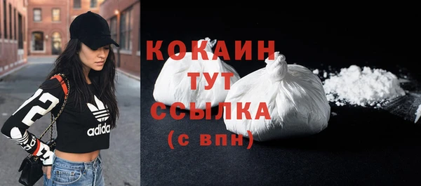 гидра Протвино