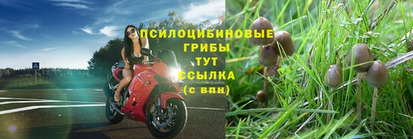 apvp Приозерск