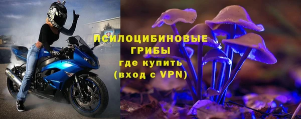 гидра Протвино