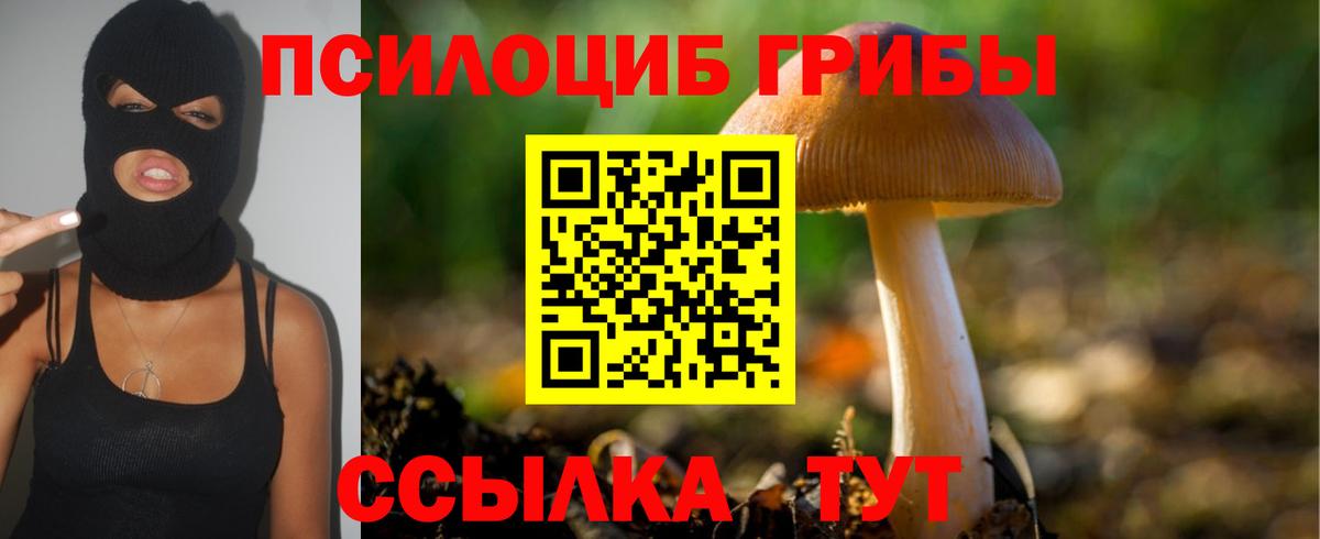 цены наркотик  Галлюциногенные грибы Psilocybe  Вход с VPN  Кушва  Псилоцибиновые грибы Psilocybe 
