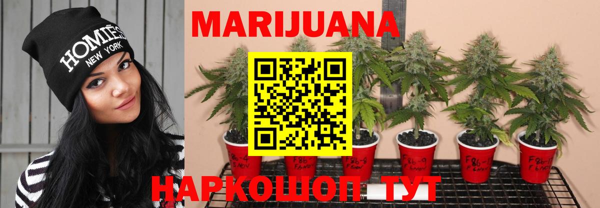 Канабис индика  Каннабис MAZAR  Кушва  Вход с VPN 